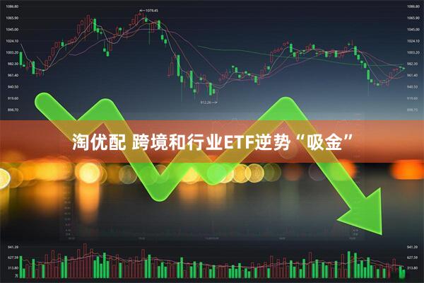 淘优配 跨境和行业ETF逆势“吸金”