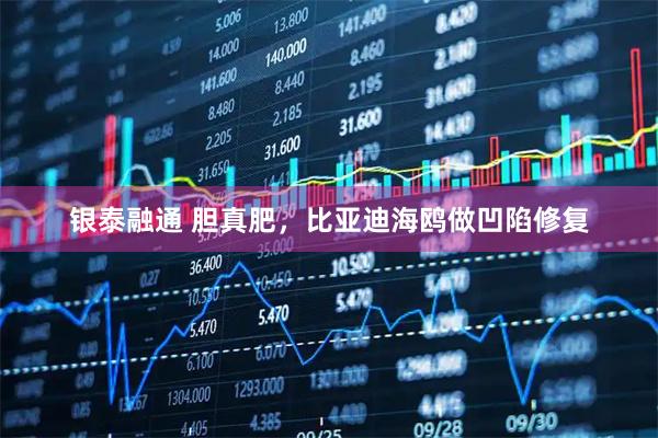 银泰融通 胆真肥，比亚迪海鸥做凹陷修复