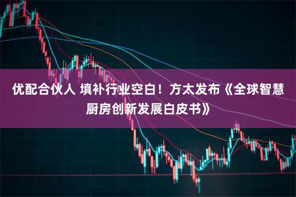 优配合伙人 填补行业空白！方太发布《全球智慧厨房创新发展白皮书》