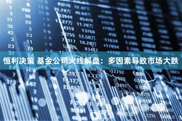 恒利决策 基金公司火线解盘：多因素导致市场大跌