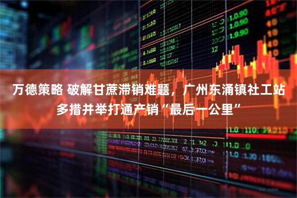 万德策略 破解甘蔗滞销难题，广州东涌镇社工站多措并举打通产销“最后一公里”