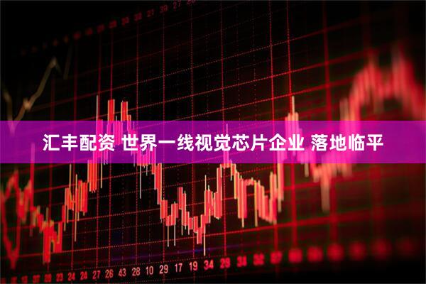 汇丰配资 世界一线视觉芯片企业 落地临平