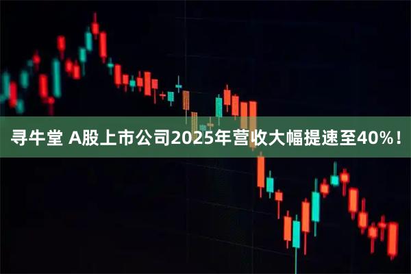 寻牛堂 A股上市公司2025年营收大幅提速至40%！